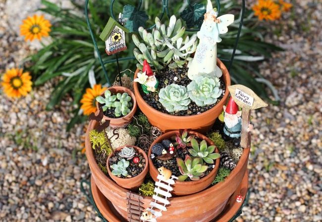 Fairy Garden Succulents
