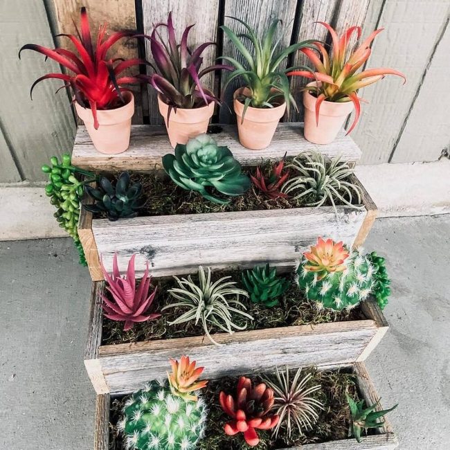 Tiered Wood Succulent Display