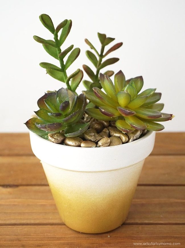 Golden Stones, Green Succulents, White Pottery