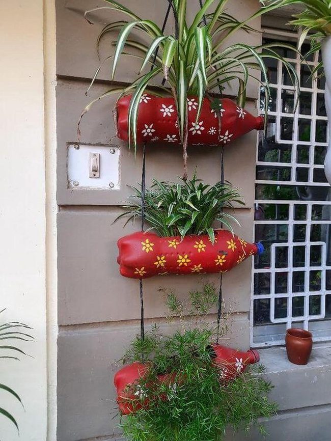 Painted Bottles Green Wall Garden