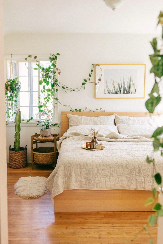 Homegrown Cuttings Fill Rooms