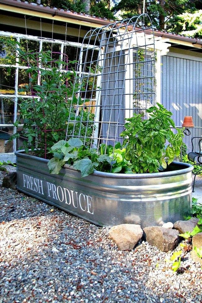 Galvanized Metal Flower Containers