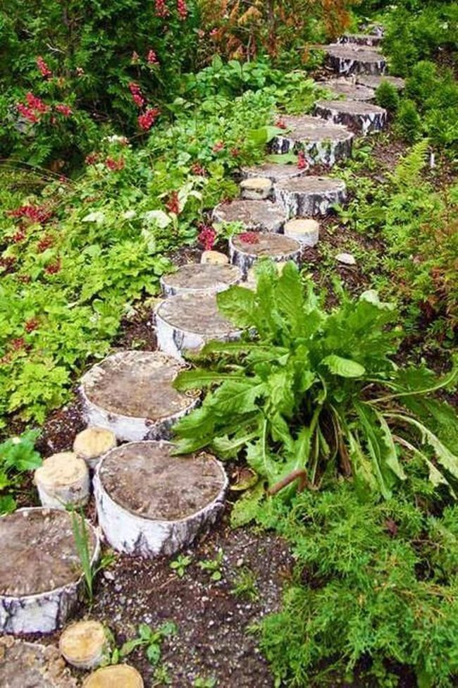 Wooden Log Pathway Through Blooms