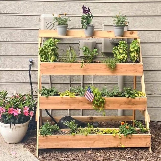 Fresh Herbs, Wooden Shelves