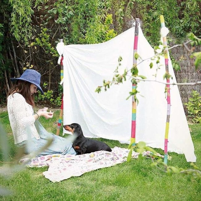 Dappled Shade Picnic Setup