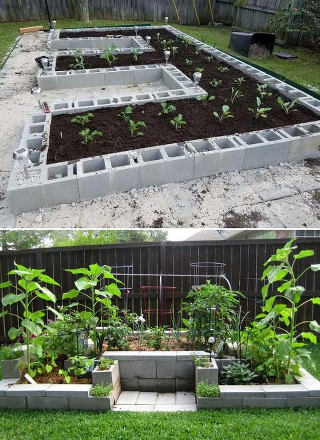Cinder Block Vegetable Gardens