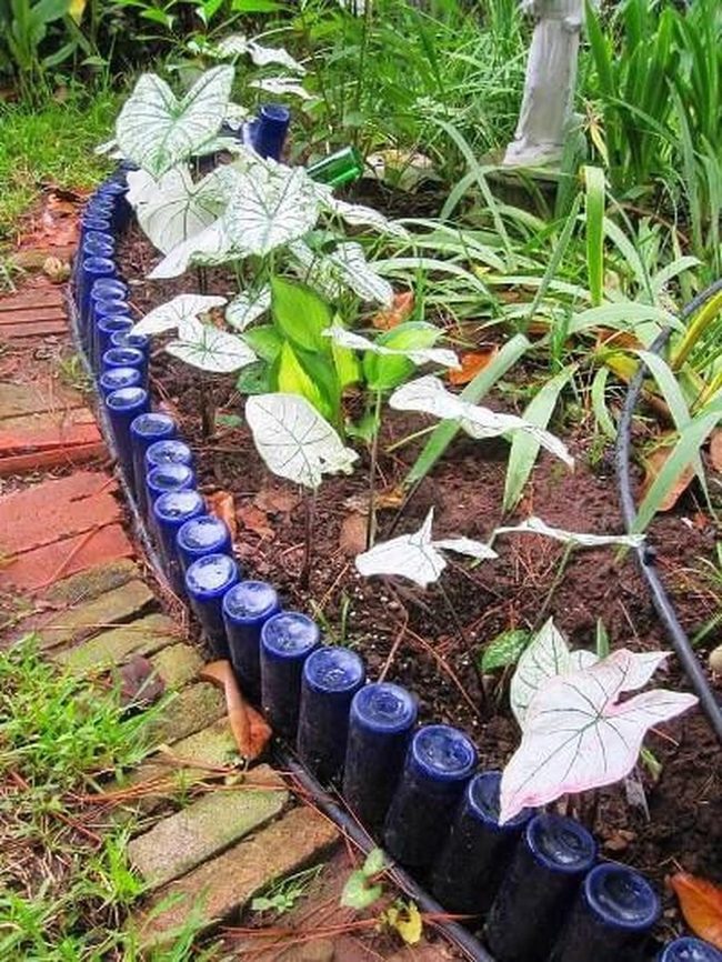 Colored Glass Bottle Borders