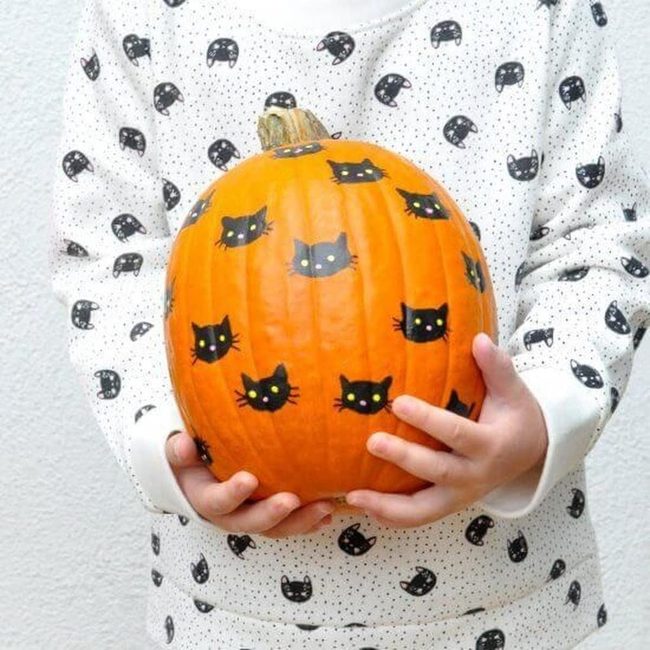 Orange Pumpkin Black Cat Faces