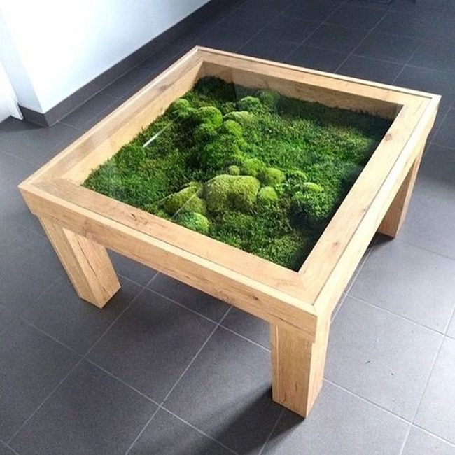 Green Moss Living Tables