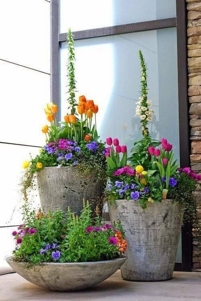 Concrete Pots, Seasonal Blooms