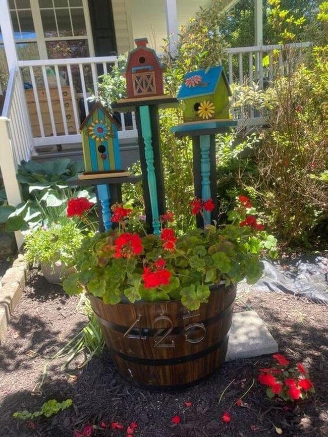 Scarlet Blooms And Birdhouse Blues
