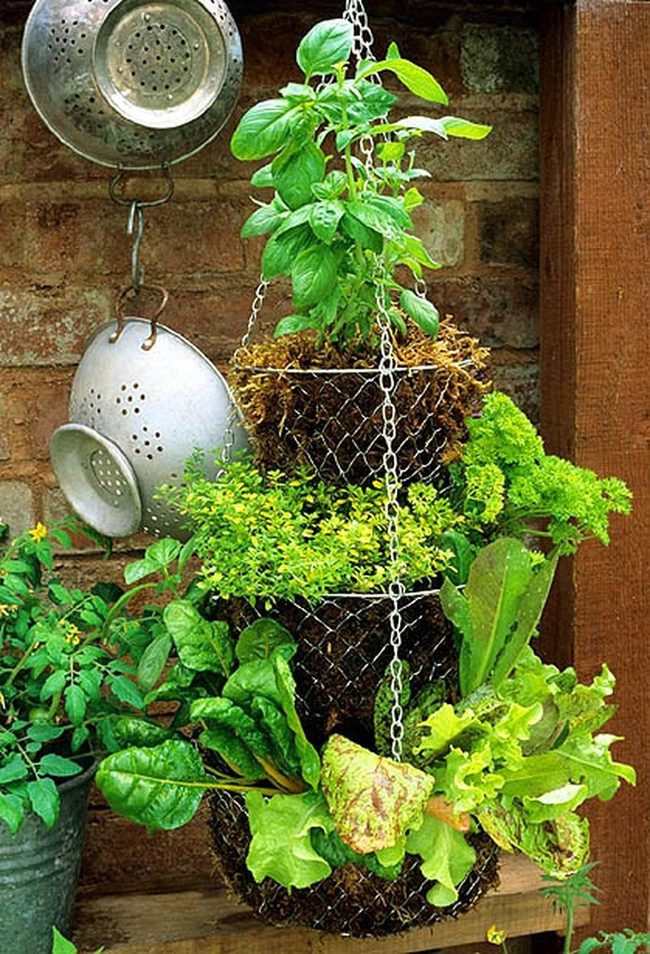 Green Metal Vertical Garden