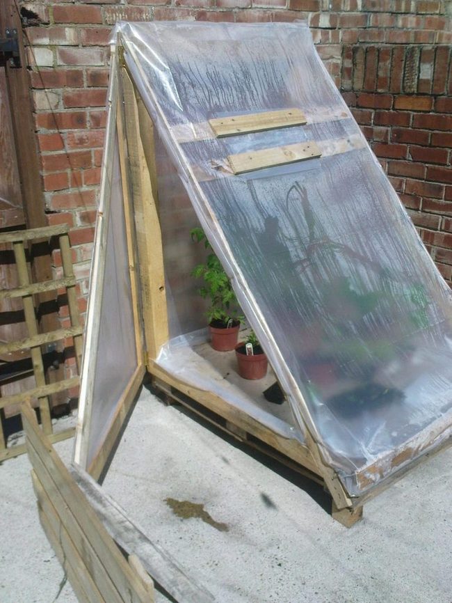 Crystal Greenhouse Against Brick