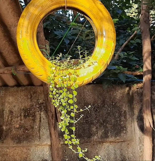 Painted Tire Garden Spheres