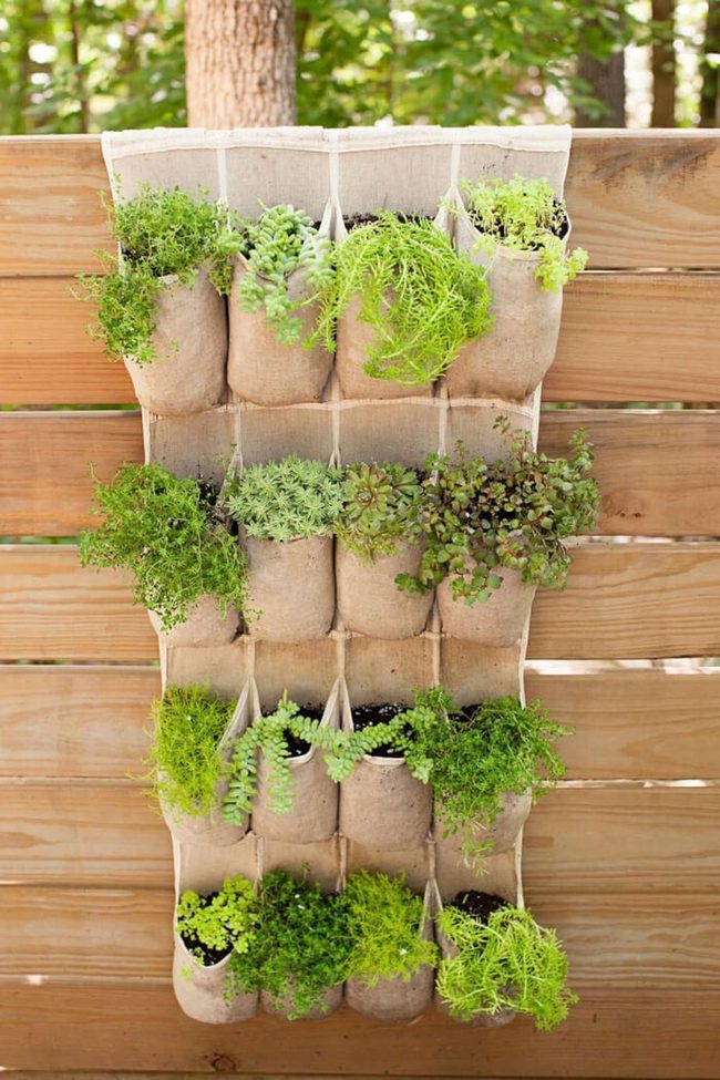 Living Wall Herb Garden
