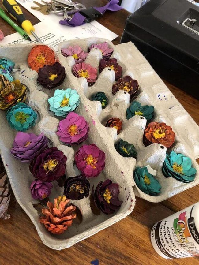 Painted Pine Cone Flower Blooms