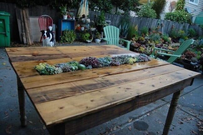 Wooden Pallet Succulent Display