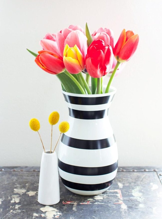 Striped Vases, Radiant Tulips