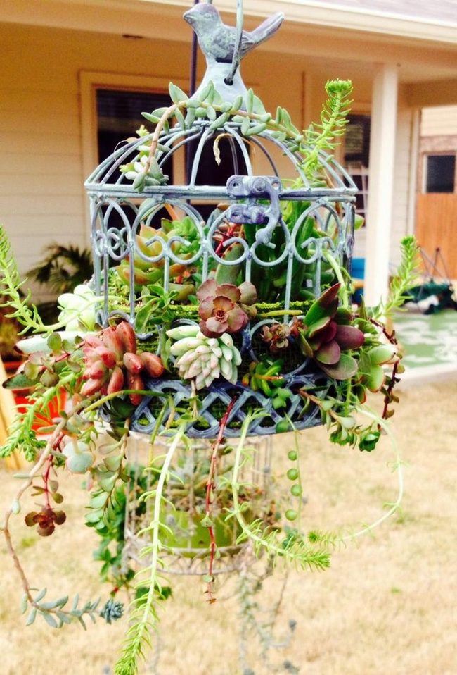 Metal Birdcage Flower Tower