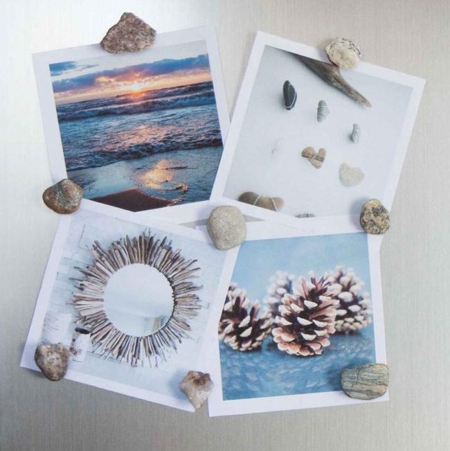 Photos, Shells, And Stone Walls