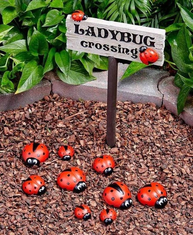 Red And Black Painted Ladybugs