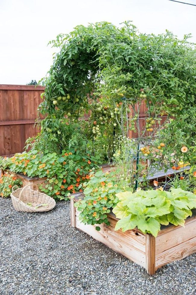 Raised Beds Orange Blossoms