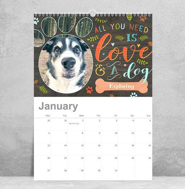 Dog Calendar With Circular Photo Frame