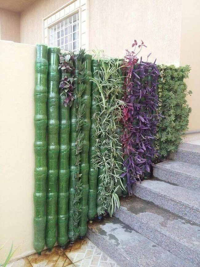 Living Walls, Layered Abundance