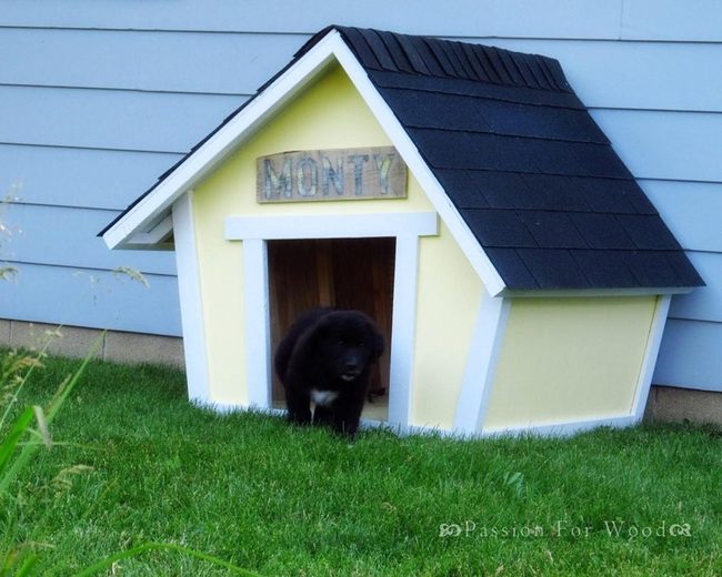 Yellow Doghouse, Black Puppy Welcome