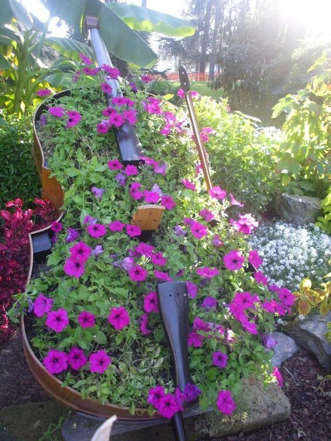 Purple Petunias On Wooden Strings