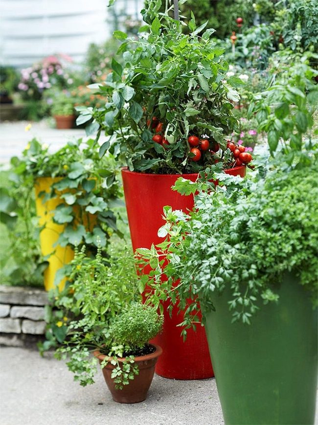 Red Ceramic Tomato Garden