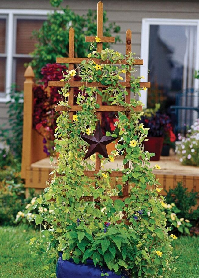 Wooden Slat Plant Climber