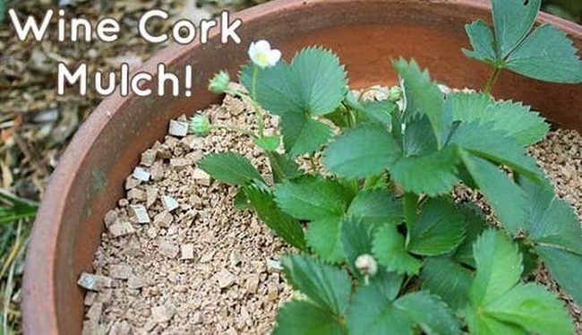 Recycled Cork Garden Layer