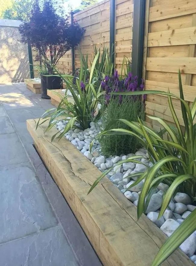 Purple Blooms, Gray Stone Garden