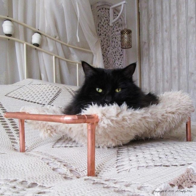 Copper Pipe Cat Sanctuaries