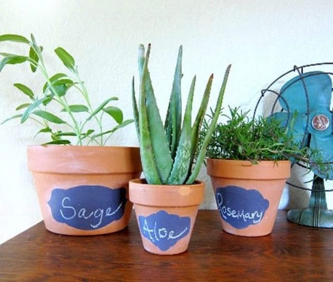 Matte Black Plant Labels
