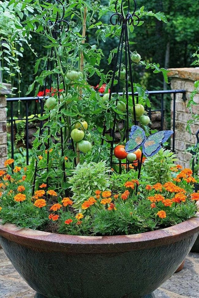 Vertical Garden Trellis Harvest