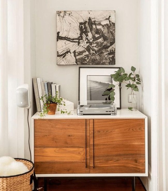 Green Plants Meet Wooden Cabinet