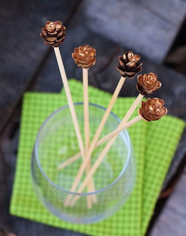 Natural Pine Cones In Glass