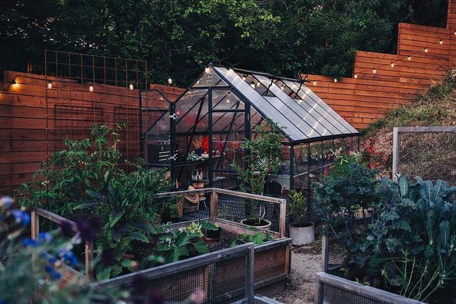 Wooden Box Garden Beds