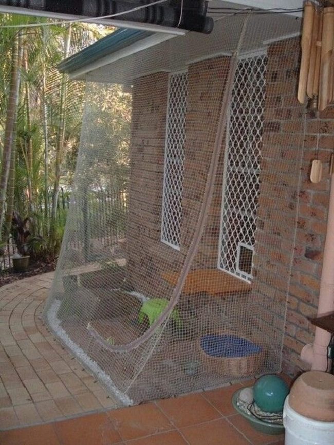 Budget Netting Cat Enclosure