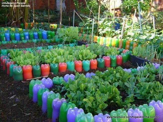 Colorful Bottle Garden Walls