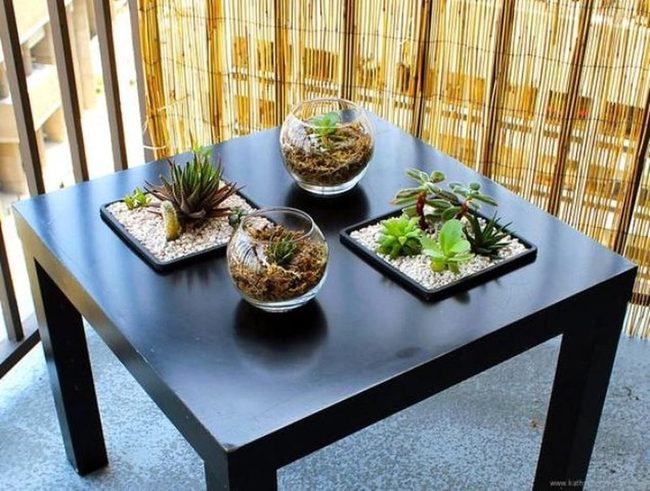 Succulent Green Minimalist Balcony
