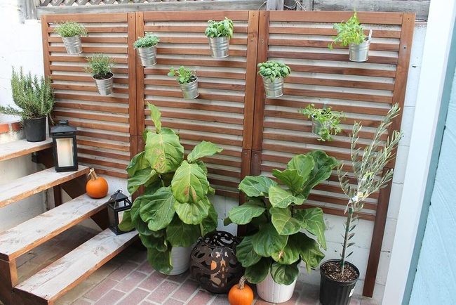 Vertical Pot Wall Garden