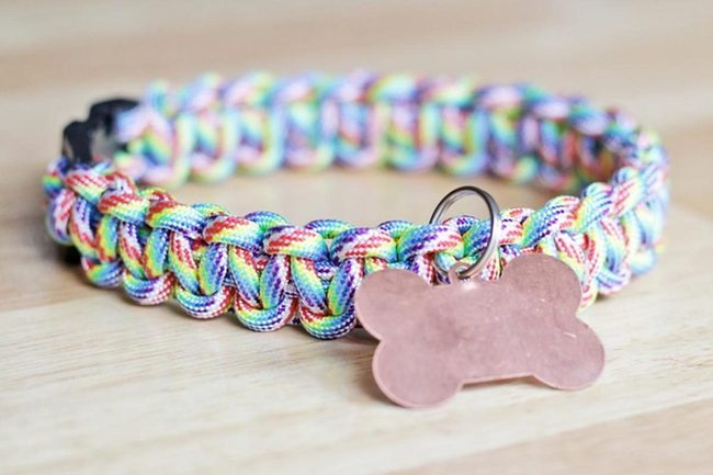Rainbow Woven Dog Collar Shine