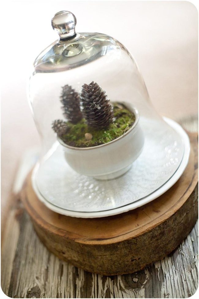 Moss Pine Cones Glass
