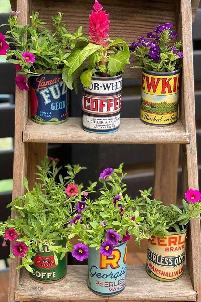 Tin Cans, Living Green