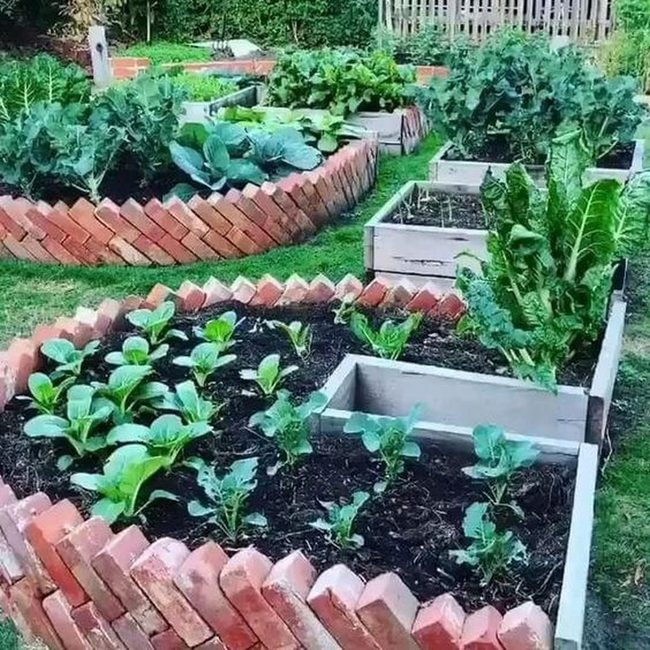 Wooden Box Garden Grid