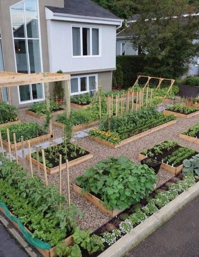 Raised Beds, Fresh Harvests