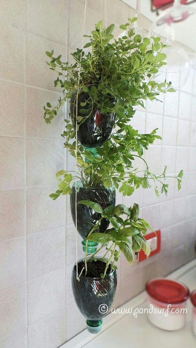 Cascading Bottle Herb Wall